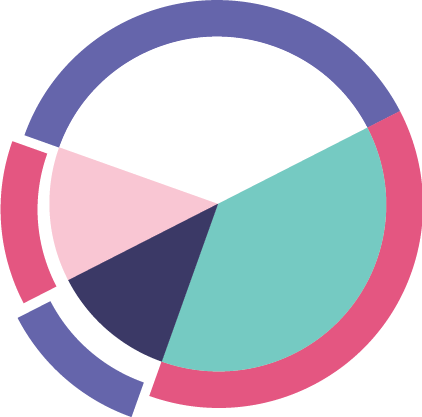 voila data analytics consultations and solutions logo